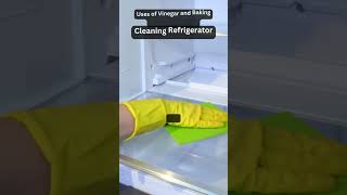 Clean and Deodorize Your Refrigerator with Vinegar and Baking Soda [upl. by Merl]