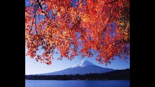 謀略動画「カリフォルニアの空」の珍論・謀略・でっち上げを破す。＃カリフォルニアの空 ＃創価学会 ＃原田稔 ＃公明党 [upl. by Reprah]