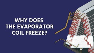 Why Does The Evaporator Coil Freeze And How to Diagnose It [upl. by Bacchus216]