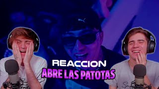 ARGENTINOS REACCIONAN A ABRE LAS PATOTAS  Dani Flow Official Video [upl. by Eednus]