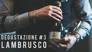 Degustazione Lambrusco 3  Cantina della Volta  Spumante quotRimossoquot 2016 [upl. by Lebbie]