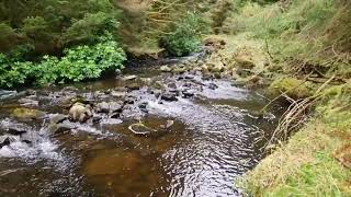 brecon beacons lakes [upl. by Yltsew74]