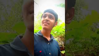 Bewakoof insan motivation funny shayari ytshorts shorats [upl. by Thurnau621]