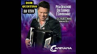 CANINANA DO FORRO AO VIVO EM DOM QUINTINO 2024 CRATOCE [upl. by Rizzo]