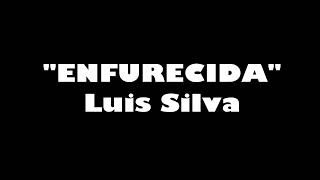 Enfurecida  Luis Silva KARAOKE [upl. by Arrad]