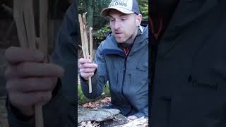 EINSTOCKFEUER EINFACH Feuer machen bushcraft feuermachen survivalskills survivalhacks [upl. by Rucker]