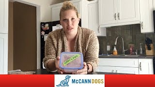 Raw Dog Food Diet Lets Talk About Our Dogs [upl. by Nerrag]