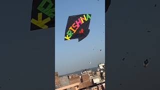 Kite flying video🪁 Patang bazzi 😍kiteflying kites patang patangbazi viral [upl. by Salazar]