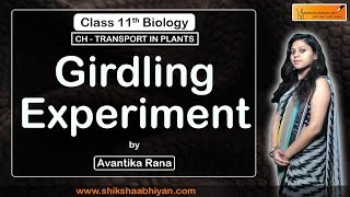 Girdling Experiment  Transport in Plants  CBSE Class 11 Biology [upl. by Enaed]