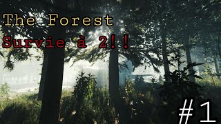 Je découvre THE FOREST avec vous  🌲🧟‍♀️ [upl. by Duff]