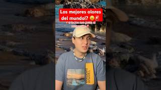 Tengo razón o no 😩💀 humor shorts youtubeshorts [upl. by Terrijo162]