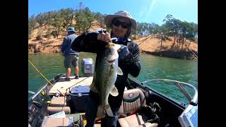 6124 Berryessa crappie fishing [upl. by Pedaiah608]