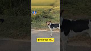 Tu Kaun Hai Be  Sab LOol Hai funny sabloolhai animal [upl. by Ainoloppa]