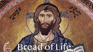 Bread of Life  John 62435  August 4 2024 [upl. by Anes]