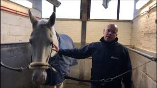 Paard scheren en haargroei  wanneer beginnen en stoppen met scheren [upl. by Torp]