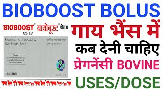 Bioboost Bolus Benefits in bovinevetmedicineBioboost bolus uses animalBioboost bolus cow Doses🐩 [upl. by Esiuqram]