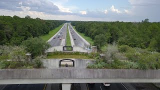 Landbridge Trailhead over I75 Cross Florida Greenway [upl. by Mccowyn]