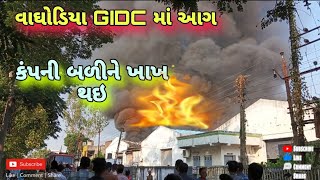 વાઘોડિયા GIDC કંપનીમાં આગ લાગી  Waghodia GIDC Ma Aag 23 Oct 24 [upl. by Nisotawulo159]