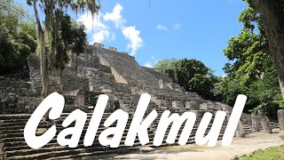 CALAKMUL  the Serpent Kingdom [upl. by Vershen]