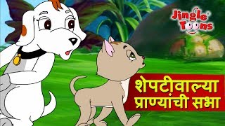 Sheptiwalya Pranyanchi Sabha  Sasa To Sasa ससा आणि कासव JingleToons Marathi Balgeet [upl. by Inal]