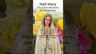 Hail Mary  Rosary Prayer  Rosary Monday  Joyful Mysteries  Ave Maria Piano hailmary shorts [upl. by Neelahtak]