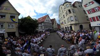 Biberacher Schützenfest 2019 Schützensonntag  Massenständchen Tweety [upl. by Fennell780]