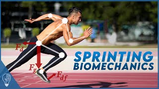 How sprinters use biomechanics to push the limits of the human body [upl. by Tripp]