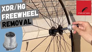 Conversion of XDRHG Freewheel Body  Fulcrum Disc wheel [upl. by Sivla465]