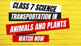 Get Ahead in Class 7 Science with These AMAZING Transportation concepts [upl. by Mahtal291]