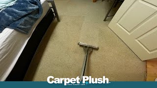 Deep Cleaning Carpet Satisfying ASMR At Home [upl. by Anitneuq533]