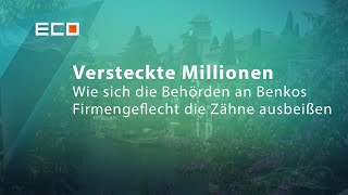 Versteckte Millionen Wie die Behörden an Benkos Firmengeflecht scheitern  ECO 04072024 [upl. by Dnama318]