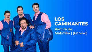 Los Caminantes  Ramita de Matimba  En Vivo  2020 [upl. by Esra528]