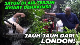 JAUHJAUH DARI INGGRIS PENASARAN SAMA AVIARY DEHAKIMS ❗ [upl. by Quiteria]