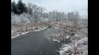 Sheboygan and Kohler Andre  Snow  162024 [upl. by Bjork]