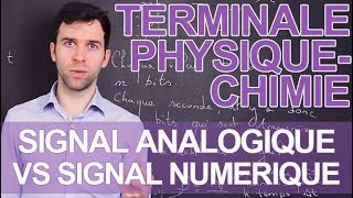 Signal analogique VS signal numérique  PhysiqueChimie  Terminale  Les Bons Profs [upl. by Nnayt]