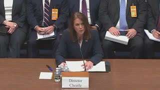 Secret Service Director Kimberly Cheatle dodges question on roof where assassin shot from [upl. by Etnecniv]