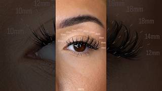 Create a fox eye look with me lashextensions viral foxeyes [upl. by Steven483]