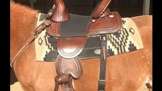 Hilason Treeless Saddle Review [upl. by Matless]