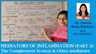 Mediators of Inflammation Part 3 The Complement System and other mediators [upl. by Jamnes]