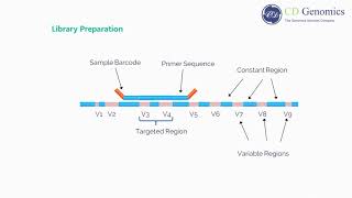 What Is 16s rRNA sequencing [upl. by Ajssatan]