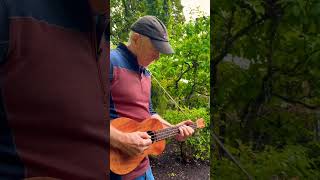 One of my favorite songs by The Ventures Always fun to play  ukulele uke music musician [upl. by Ingram198]