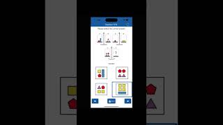 WISCV Test Practice Mobile Application [upl. by Osana]