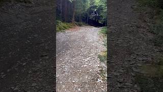 Dyfi bike park [upl. by Elahcim]