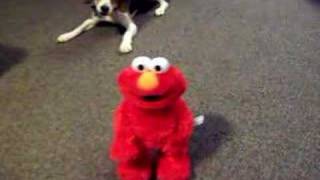 Peluche interactivo Elmo [upl. by Winifield311]