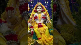 🙏॥ राधे राधे जपा करो॥ 🙏radheradhe radha short viralshorts youtubeshort krishna [upl. by Candless]