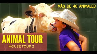 ANIMAL TOUR  más de 40 Animales en mi casa 😳 [upl. by Halehs374]