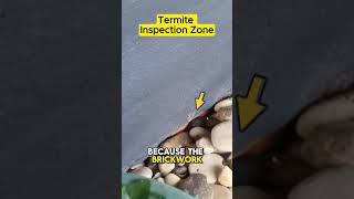 Termite Inspection Zone [upl. by Voe872]