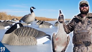 Hunting for Geese on SOLID ICE  Goose Hunting 2024 [upl. by Criswell]