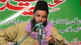 Jashn e Eid Milad Un Nabi Conference  Maulana Mairaj Ul Hasan Sahab In Harthala Full HD [upl. by Salem]