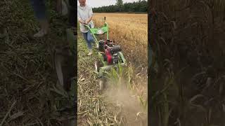 4h ago Grasscutter lawnmower multifunctionmicrotillage I want to be popular viralvideo [upl. by Jehovah]